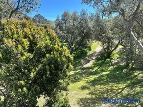 Salt and Sand Retreat - Image 3