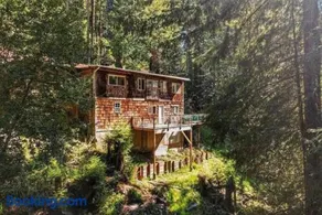 Evergreen Escape - Image 1