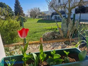 Apartment Flower near Medulin - Image 2