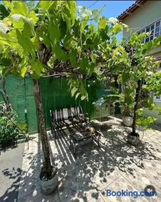 Casa Clorophila - Image 4