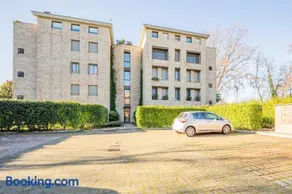 Balbi8 - Image 5