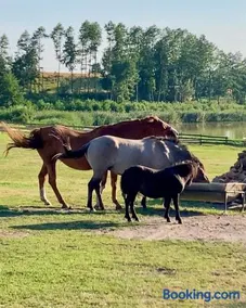 Agrotourist Maryska Małe Leźno - Image 3
