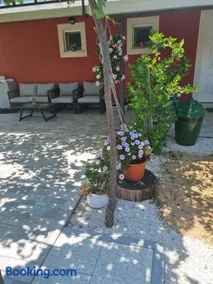 Studio apartman Mare - Image 4