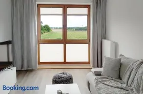 Schöner Blick - Image 3