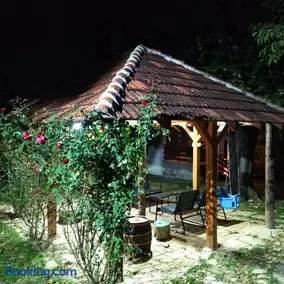 Veliki Banjan - Image 2