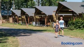Camping de Tolbrug - Image 4
