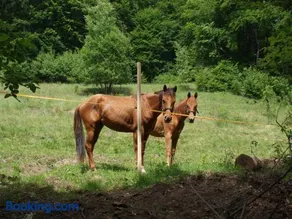Stara Horaren 2 - Image 3