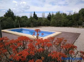 Alojamiento Rural - Finca Santa Margarita - Image 2