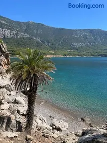 Şampiyon apart - Image 2