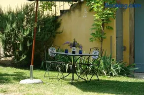 Ginestra - Image 4