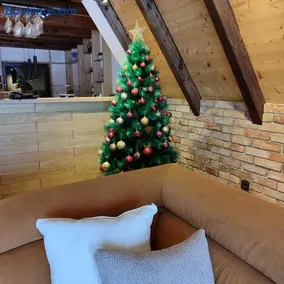Jahorina Green Chalet - Image 5