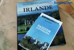 Maison de campagne au cœur d'un élevage de poneys connemara - Image 2