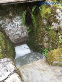 La Molnera - Image 2