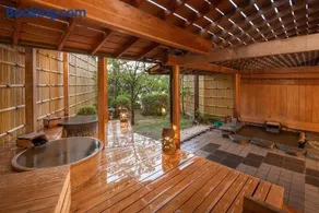 Sansuikan Kinryu - Image 5
