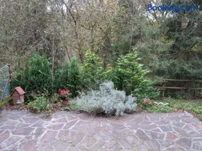 Waldpension Stachl - Image 2