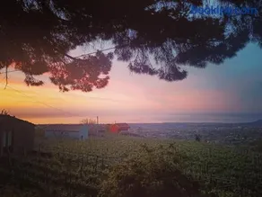 Etna Antico palmento - Image 3