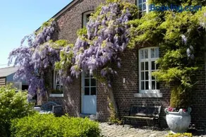 Hoeve Espewey Cottage - Image 2