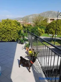 A Casa di Falco - Image 5