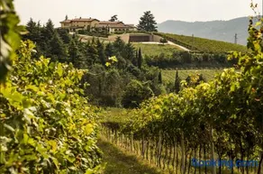 Agriturismo Costa Arènte - Image 1