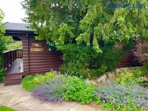 The Cabin - Image 1
