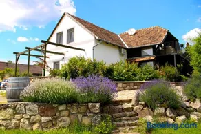 Vidéki Ház - Image 1