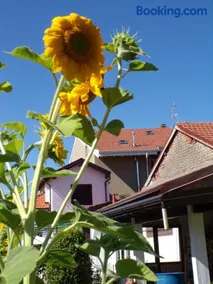 Casa Vacanze Terra di Mezzo - Image 5