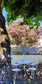 Entre Vignobles et Estuaire - Gîte 12 pers - Image 2