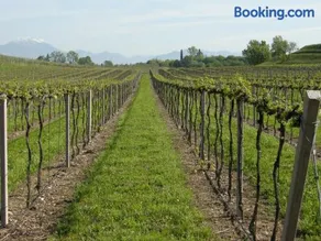 I Vigneti Bed & Breakfast - Image 1