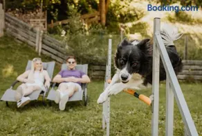 Hotel Grimming dogs&friends - Image 3
