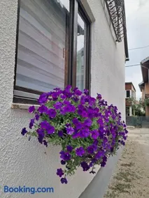 Apartman Mario - Image 4
