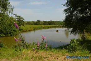 Woodland Cottage - Image 3