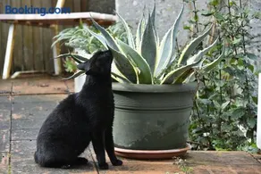 Tarcisio B&B - Image 3