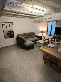 Appartement 6-8 personnes, gîte, climatisé, classé 3 étoiles, proche du zoo de Beauval et des châteaux de la Loire - Image 3