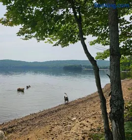 Spa & Relaxation at Lake Cameron - BORD DE L'EAU - Image 2