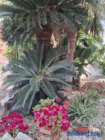 La Rugiada-con giardino e parcheggio moto privato - Image 1