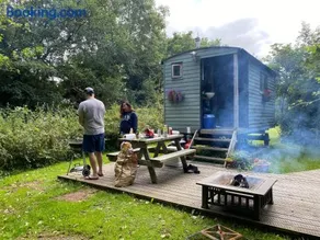 Shepherds Hut at Rhyd y Galen - Image 4