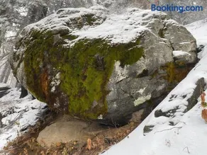 Sweet getaway in private Giant Sequoia Grove - Image 1