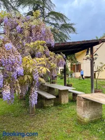 Glamping in Tuscany - Image 3