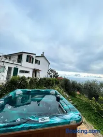 Il mare tra gli olivi - Image 1