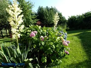 Agroturystyka u Basi - Image 5