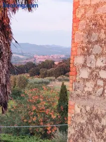La casina - Image 1