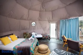 Boogaloo Camp - Image 1
