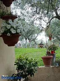 Home Il Cortiglione - Image 3