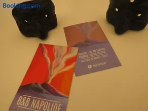 Napolide - Image 1