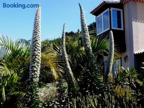 Apartamento MAR Y TEIDE - Image 1