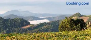 แจ่มฟ้าเมาท์เท่นวิว Chaemfa Mountain View - Image 4