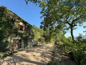 Casa Immersa nel verde - Image 1