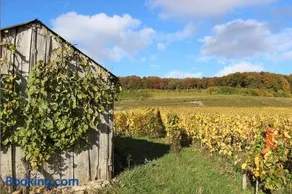 Roulotte la Dominique - Image 1