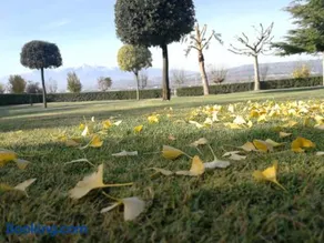 Agriturismo Casamia - Image 4