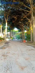 MareBlue Mobilhomes on Camping Mare e Pineta - Image 3